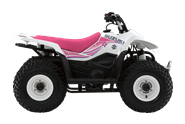 Suzuki QuadSport Z50 Special Edition OEM Parts & Accessories
